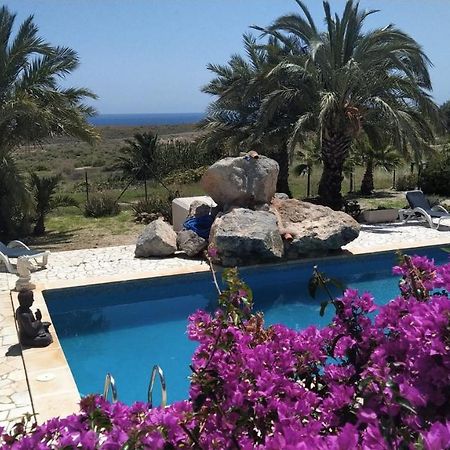Bluemar Guest House Almeria Bagian luar foto